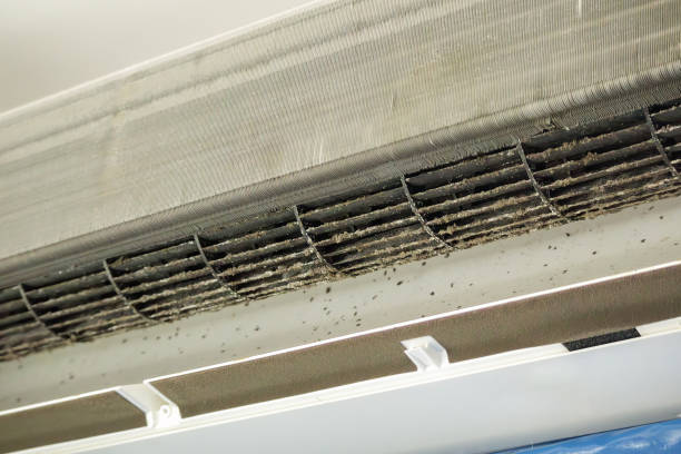 Best Affordable Duct Cleaning Services  in Palermo, CA